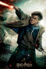3D puzzle Harry Potter 300 dielikov