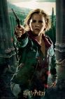 3D puzzle Harry Potter: Hermione Granger 300 dielikov