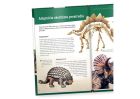 Objavuj svet: Dinosaury (2.vydanie)
