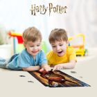 3D puzzle Harry Potter: Fawkes 300 dielikov