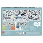 APLI Puzzle Ohrozené druhy zvierat z oceánu 200 dielikov
