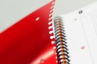 Zápisník Oxford A4+ INT Activebook štvorček