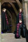 Šál Harry Potter Chrabromil