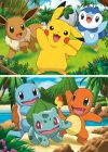 Pokémon 2x24 dielikov