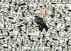 Challenge Puzzle: Star Wars 1000 Ravensburger