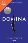 Lacná kniha Maestra 2 - Domina