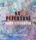 Na plechárně - audiokniha