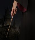 Pero s prútikom Albusa Dumbledora Harry Potter