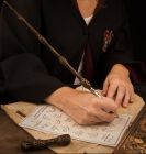 Pero s prútikom Albusa Dumbledora Harry Potter