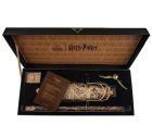 Metla Harry Potter Nimbus 2000 Junior