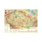 Puzzle Mapa Českej republiky 500 Dino
