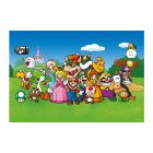 Puzzle Super Mario a priatelia 500 Winning Moves
