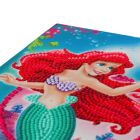 Zápisník Ariel Disney vykladanie z diamantov