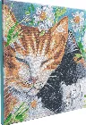 Obraz Ospalé mačky (30x30 cm) vykladanie z diamantov