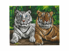 Obraz Tigre (40x50 cm) vykladanie z diamantov