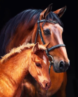 Obraz v lištách Gaštanové kobyly (35x45 cm) vykladanie z diamantov