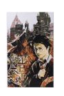 Obraz Harry Potter (30x50 cm) maľovanie podľa čísel