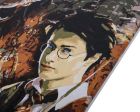Obraz Harry Potter (30x50 cm) maľovanie podľa čísel