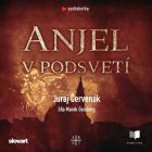 Anjel v podsvetí (Barbarič a Stein 7) - audiokniha