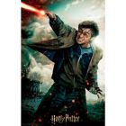 3D puzzle Harry Potter 300 dielikov