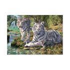 Puzzle Biele tigre 1000ks