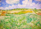 Puzzle Vincent Van Gogh: Plain near Auvers 1000 Enjoy