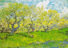 Puzzle Vincent Van Gogh: Orchard in Blossom 1000 Enjoy
