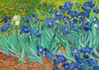 Puzzle Vincent Van Gogh: Irises 1000 Enjoy