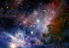 Puzzle Hmlovina Carina 1000 Enjoy