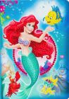 Zápisník Ariel Disney vykladanie z diamantov