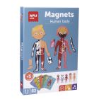 APLI Krabička s magnetmi -Ľudské telo