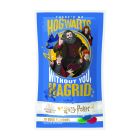 Jelly Belly Harry Potter - 10 rôznych príchutí, 28g