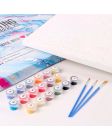 Maľovanie podľa čísel Páv 40x50cm Zuty