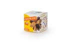 RecentToys Brain Puzzle 2 - Temenný lalok