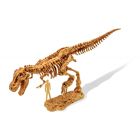 Výkop dinosaurov T-rex