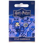 Harry Potter náušnice (napichovačky) - čokoládová žabka