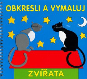 kniha