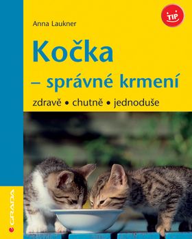 Kočka – správné krmení