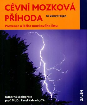 kniha