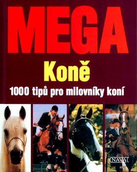 kniha
