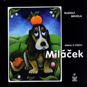 kniha