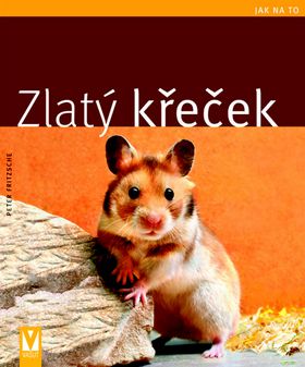 kniha