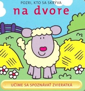 kniha