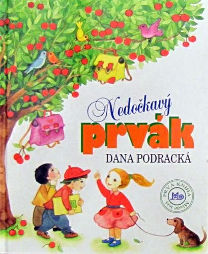 kniha