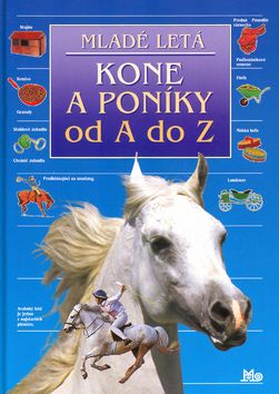 kniha