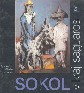 kniha