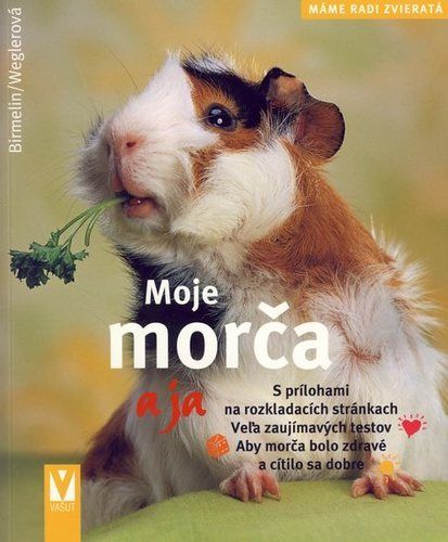 kniha