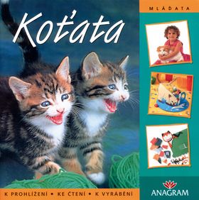 kniha