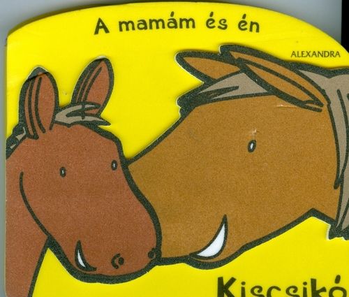 kniha