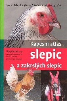 kniha